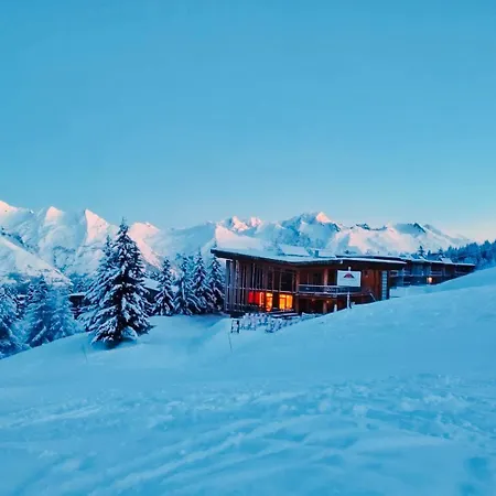 L'aiguille Grive 4* Les Arcs (Savoie)