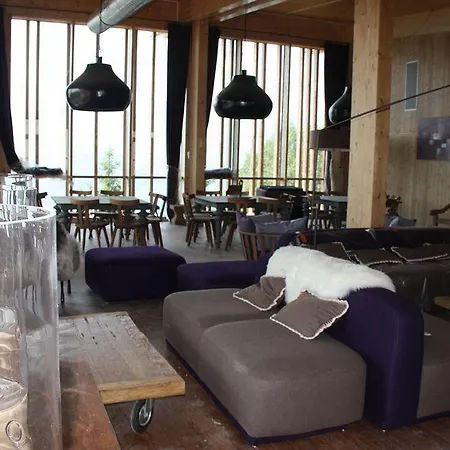 Hotel L'aiguille Grive 4*
